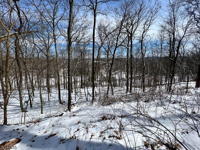 76 Monroe Road Lafayette, NJ 07848 - Photo 13 of 14