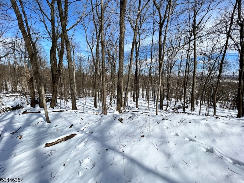 76 Monroe Road Lafayette, NJ 07848 - Photo 14 of 14