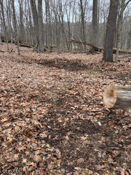 76 Monroe Road Lafayette, NJ 07848 - Photo 2 of 14