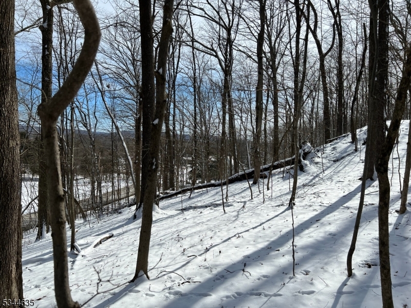 76 Monroe Road Lafayette, NJ 07848 - Photo 4 of 14