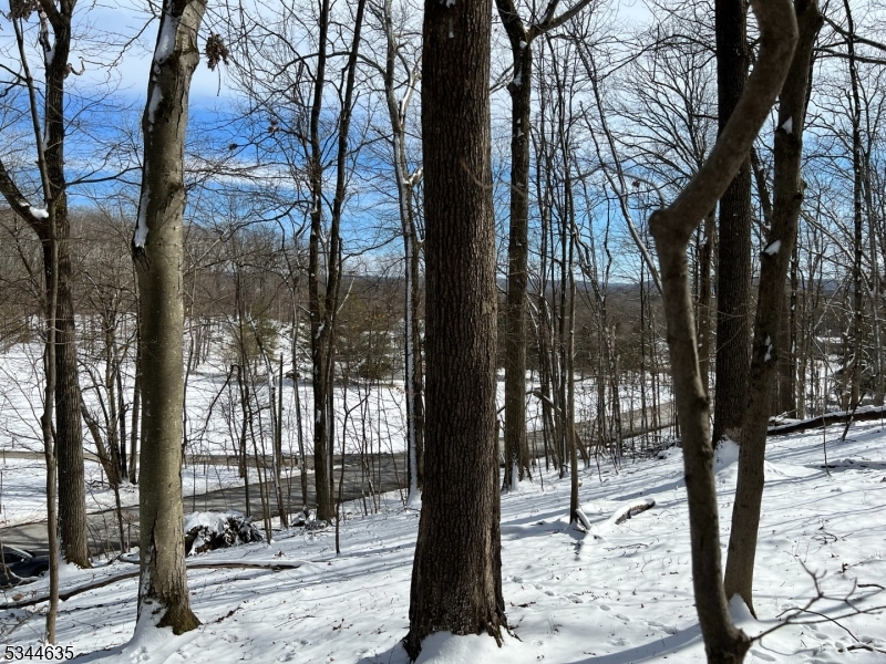 76 Monroe Road Lafayette, NJ 07848 - Photo 5 of 14