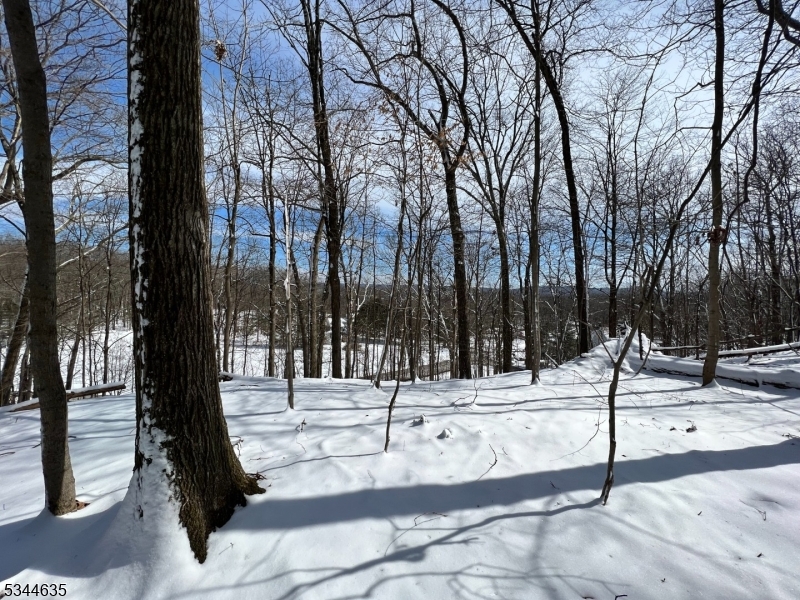 76 Monroe Road Lafayette, NJ 07848 - Photo 6 of 14