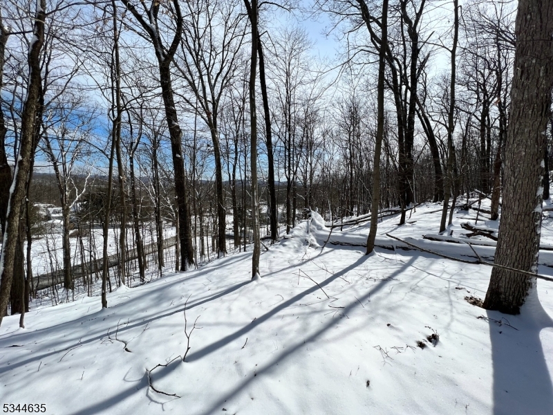 76 Monroe Road Lafayette, NJ 07848 - Photo 8 of 14