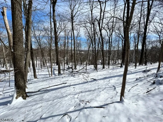 $249,000 | 76 Monroe Road, Lafayette, NJ 07848