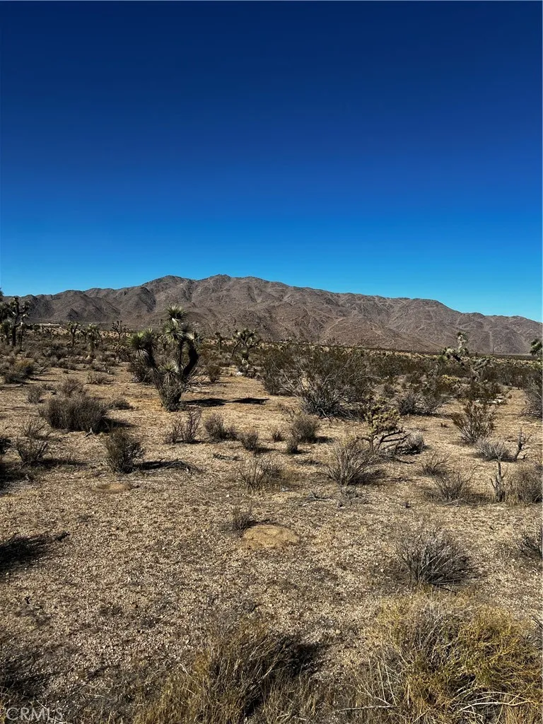 0 Canyon View Road Lucerne Valley, CA 92356 - Photo 4 of 6 a view of a large mountain