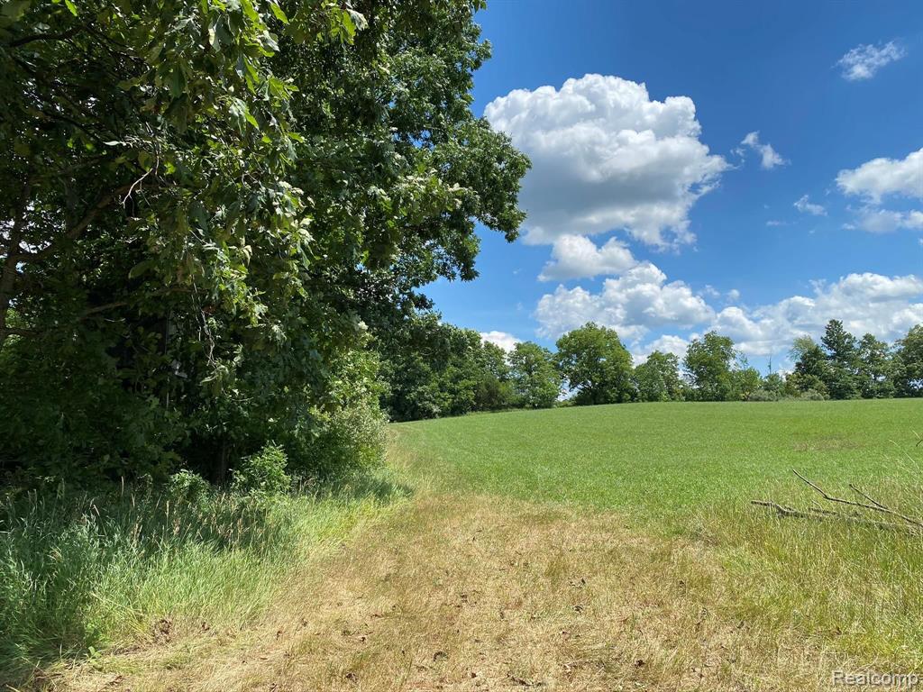 0 Lahring Road Linden, MI 48451 - Photo 5 of 10 Gallery Image 5