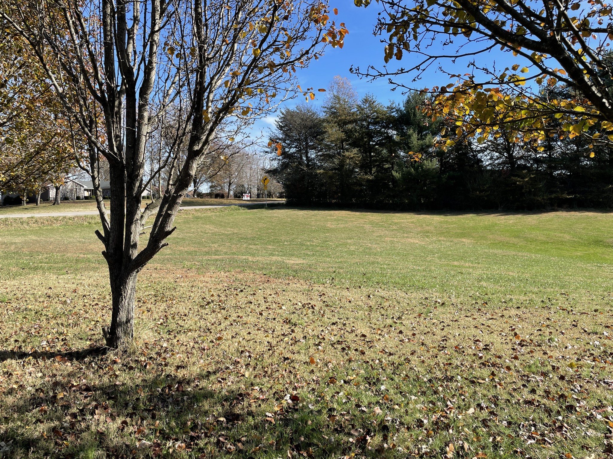 799 Prosser Road Leoma, TN 38468 - Photo 26 of 32 Gallery Image 26