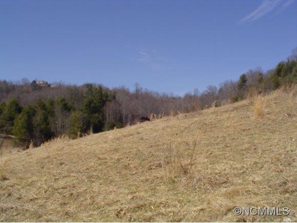 4276 Rector Corner Road Marshall, NC 28753 - Photo 1 of 14 Gallery Image 1