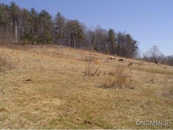 4276 Rector Corner Road Marshall, NC 28753 - Photo 11 of 14 Gallery Image 11