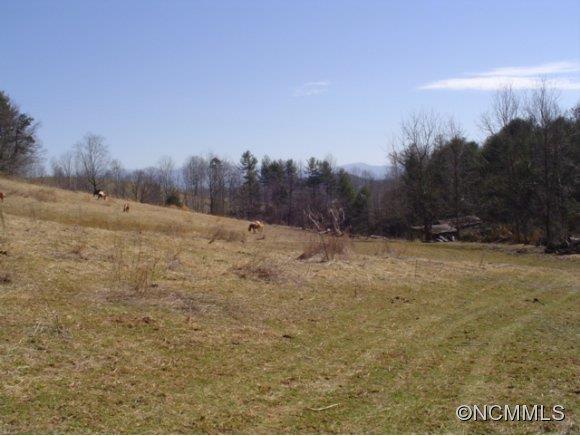 4276 Rector Corner Road Marshall, NC 28753 - Photo 12 of 14 Gallery Image 12