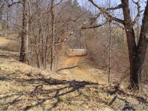 4276 Rector Corner Road Marshall, NC 28753 - Photo 3 of 14 Gallery Image 3