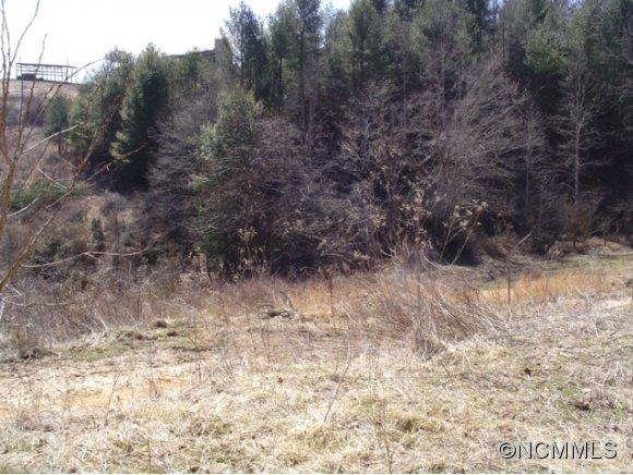 4276 Rector Corner Road Marshall, NC 28753 - Photo 4 of 14 Gallery Image 4