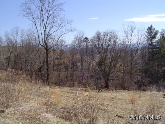 4276 Rector Corner Road Marshall, NC 28753 - Photo 8 of 14 Gallery Image 8