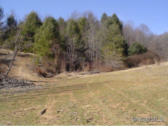 4276 Rector Corner Road Marshall, NC 28753 - Photo 9 of 14 Gallery Image 9