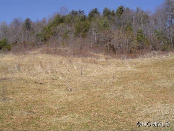 4276 Rector Corner Road Marshall, NC 28753 - Photo 10 of 14 Gallery Image 10