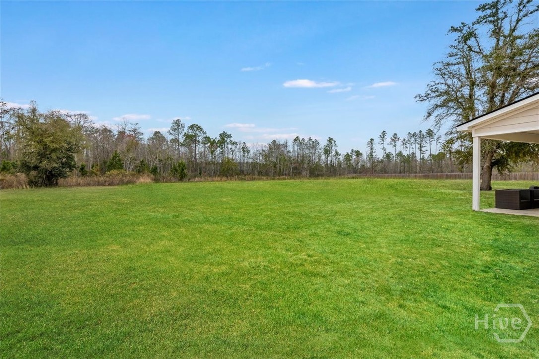 392 Akins Ranch Road Northeast Ludowici, GA 31316 - Photo 42 of 48 Grass is digitally enhanced.