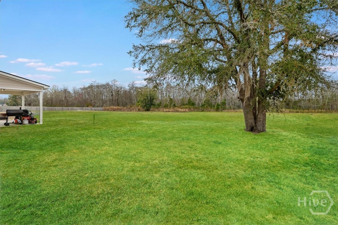 392 Akins Ranch Road Northeast Ludowici, GA 31316 - Photo 44 of 48 Grass is digitally enhanced.