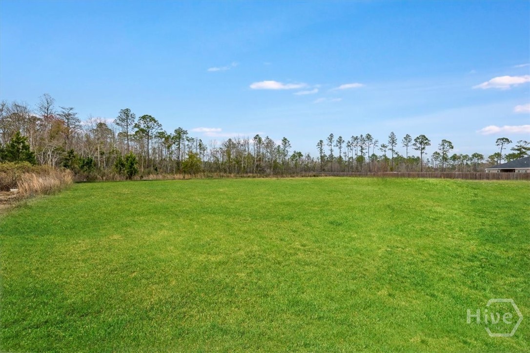 392 Akins Ranch Road Northeast Ludowici, GA 31316 - Photo 47 of 48 Grass is digitally enhanced.