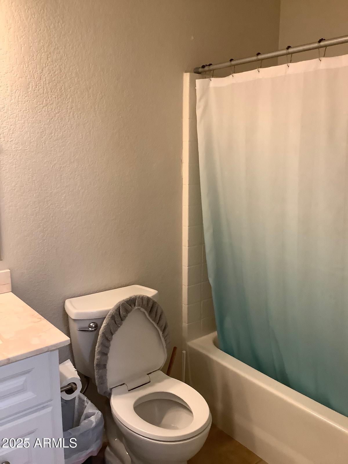 10432 West Granada Road Avondale, AZ 85392 - Photo 12 of 18 Guest bathroom