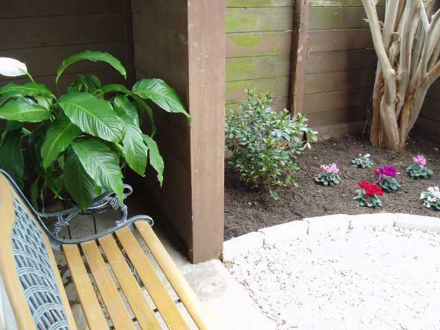 4409 Guadalupe Street, Unit 3 Austin, TX 78751 - Photo 2 of 18 a view of a potted plant with a bench