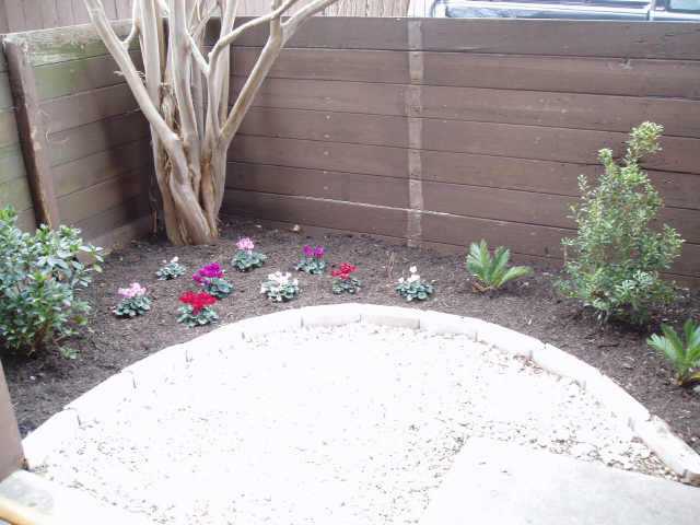 4409 Guadalupe Street, Unit 3 Austin, TX 78751 - Photo 3 of 18 a view of potted plant in front of a house
