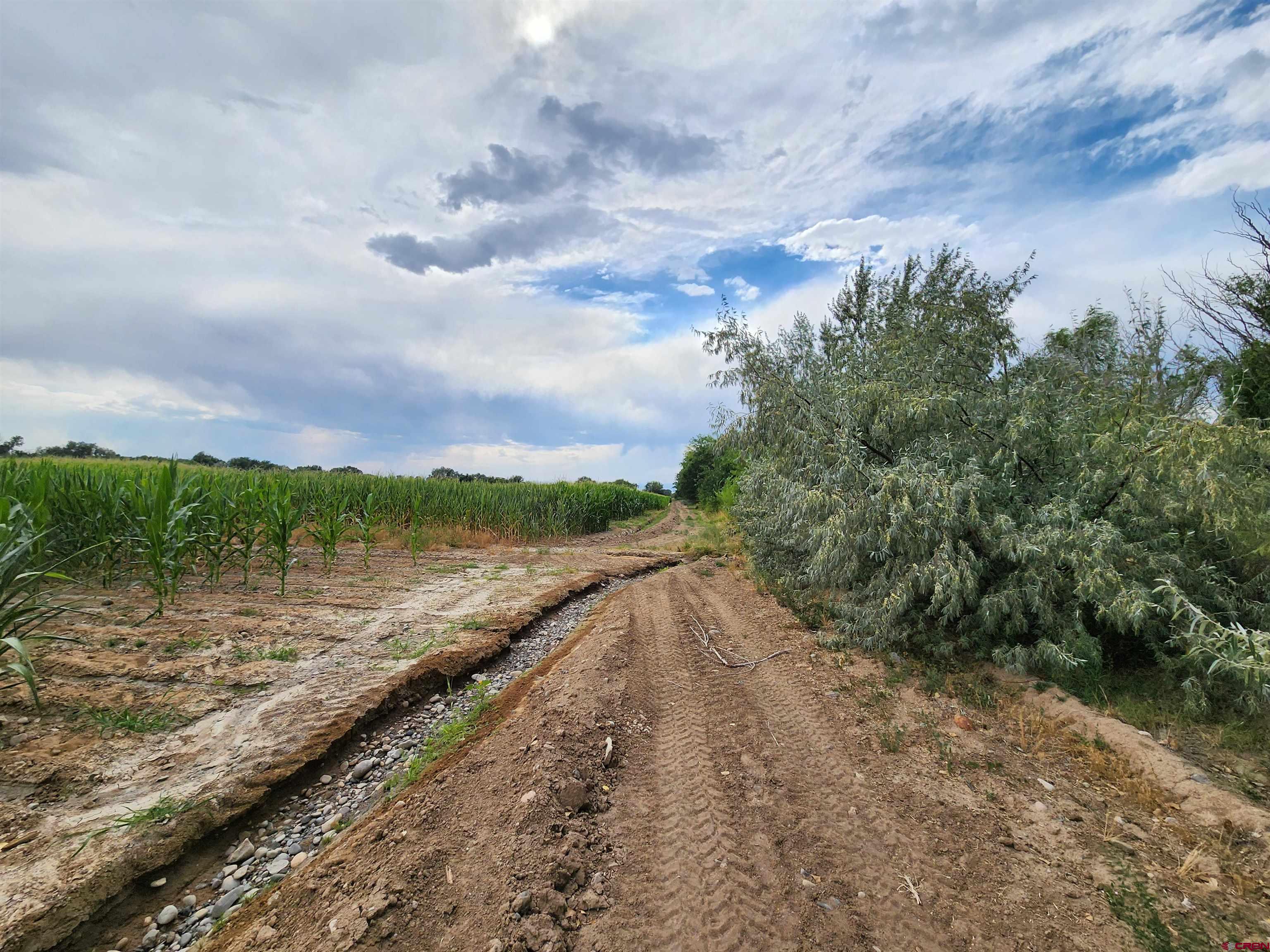 Tbd Tbd 1725th Road Delta, CO 81416 - Photo 11 of 13 a view of a lake from a yard