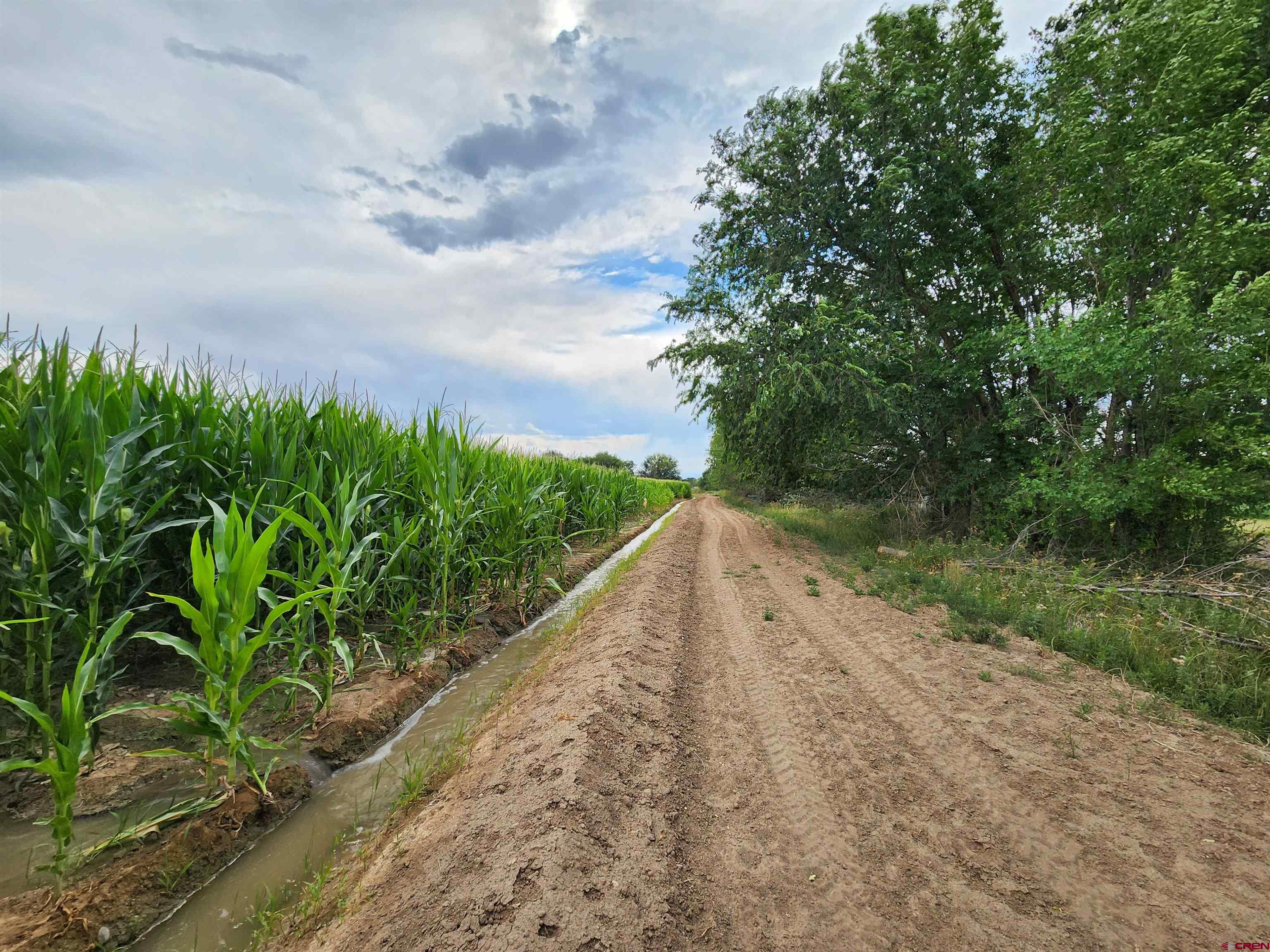 Tbd Tbd 1725th Road Delta, CO 81416 - Photo 12 of 13 a view of a dry yard with wooden fence