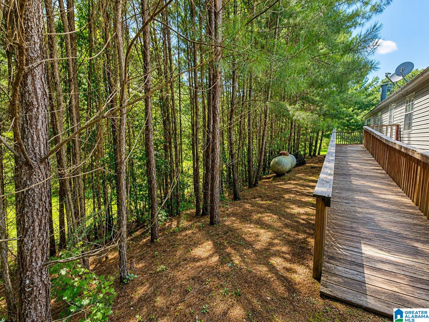 102 Pine Ridge Road Wedowee, AL 36278 - Photo 20 of 22