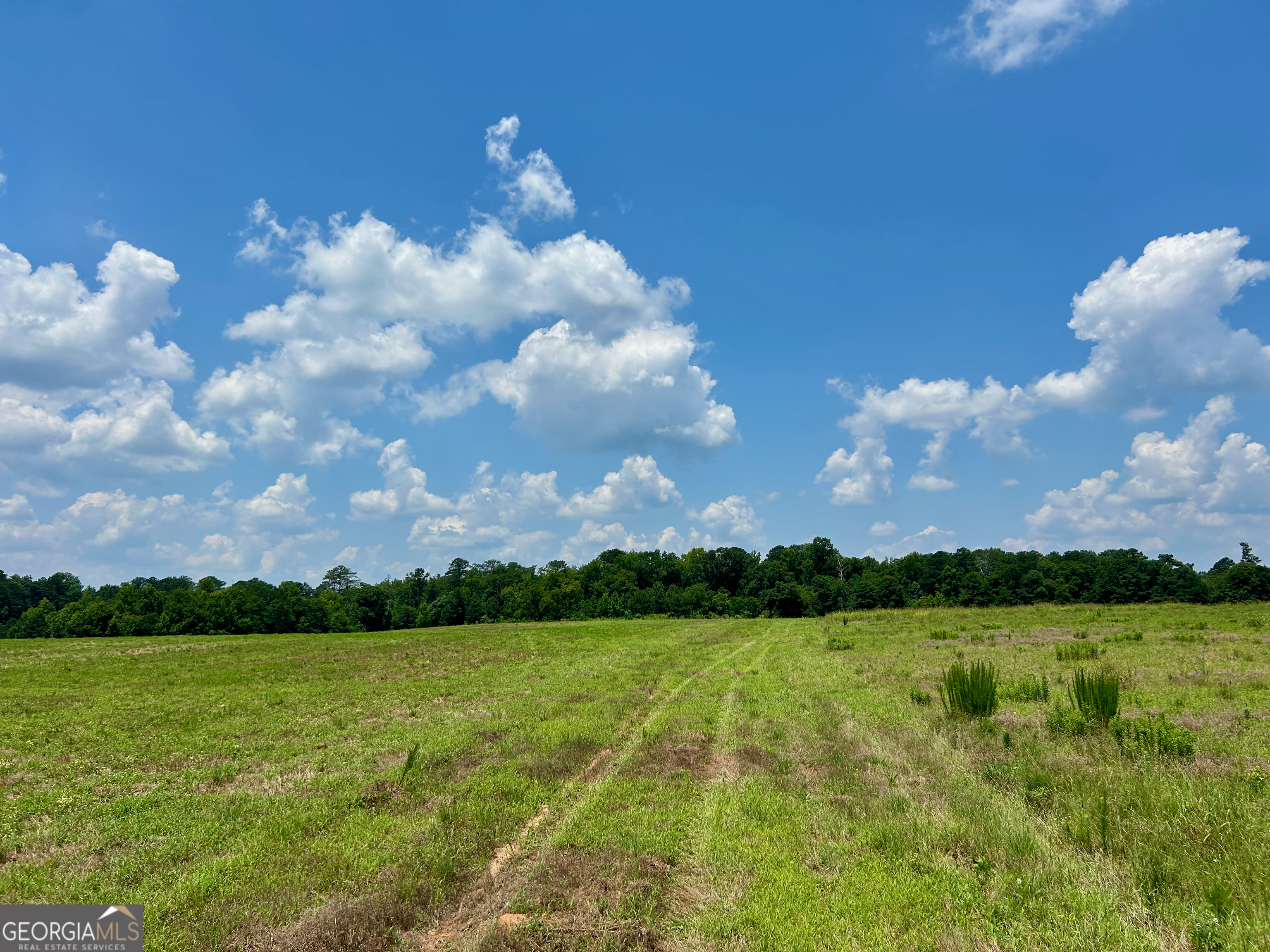 243 Hamil Road, Unit 13 18 AC Griffin, GA 30223 - Photo 3 of 6