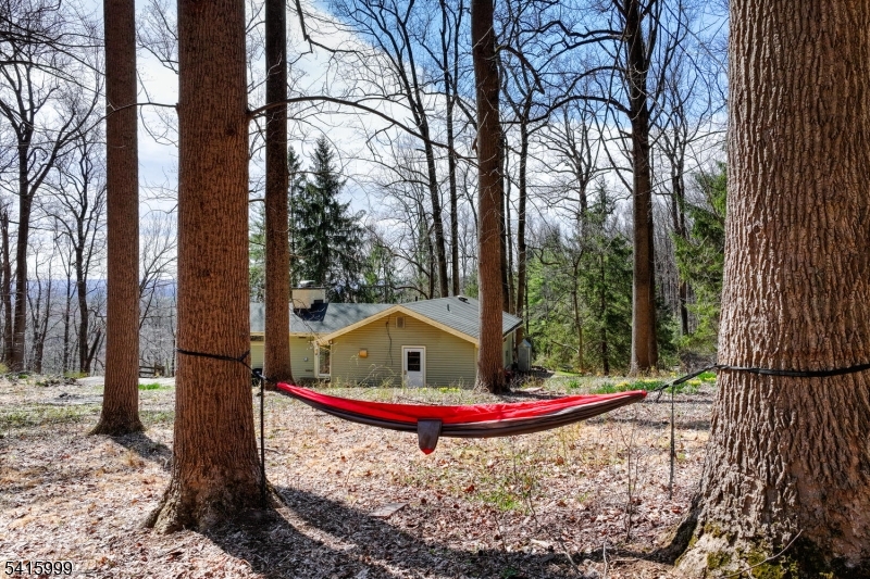 95 Dreahook Road Lebanon, NJ 08833 - Photo 21 of 30 a view of outdoor space