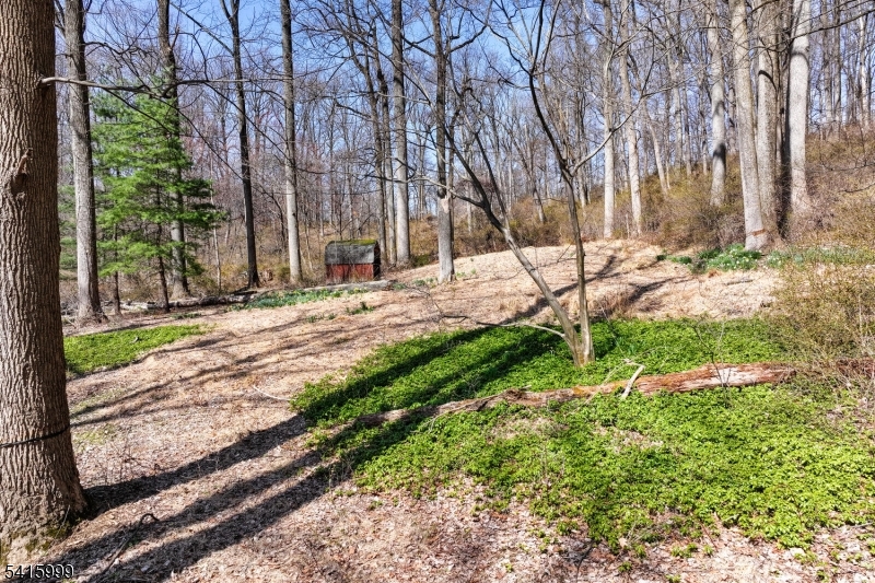 95 Dreahook Road Lebanon, NJ 08833 - Photo 22 of 30