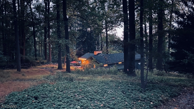 95 Dreahook Road Lebanon, NJ 08833 - Photo 26 of 30 a backyard of a house with lots of green space