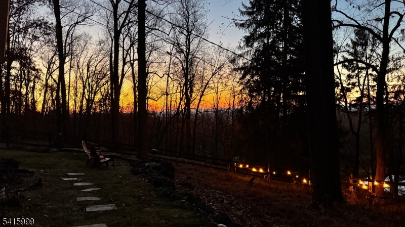 95 Dreahook Road Lebanon, NJ 08833 - Photo 27 of 30 a view of outdoor space and yard