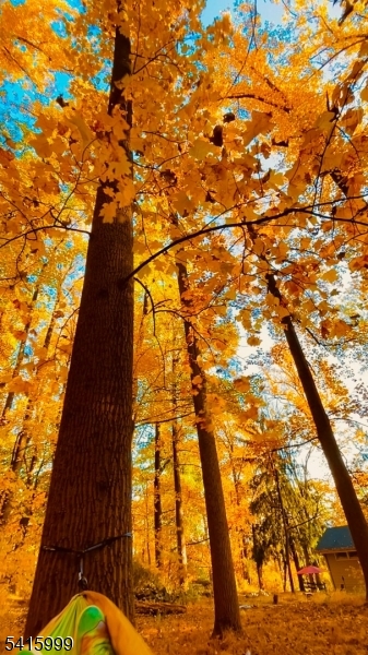 95 Dreahook Road Lebanon, NJ 08833 - Photo 28 of 30 a backyard of a house