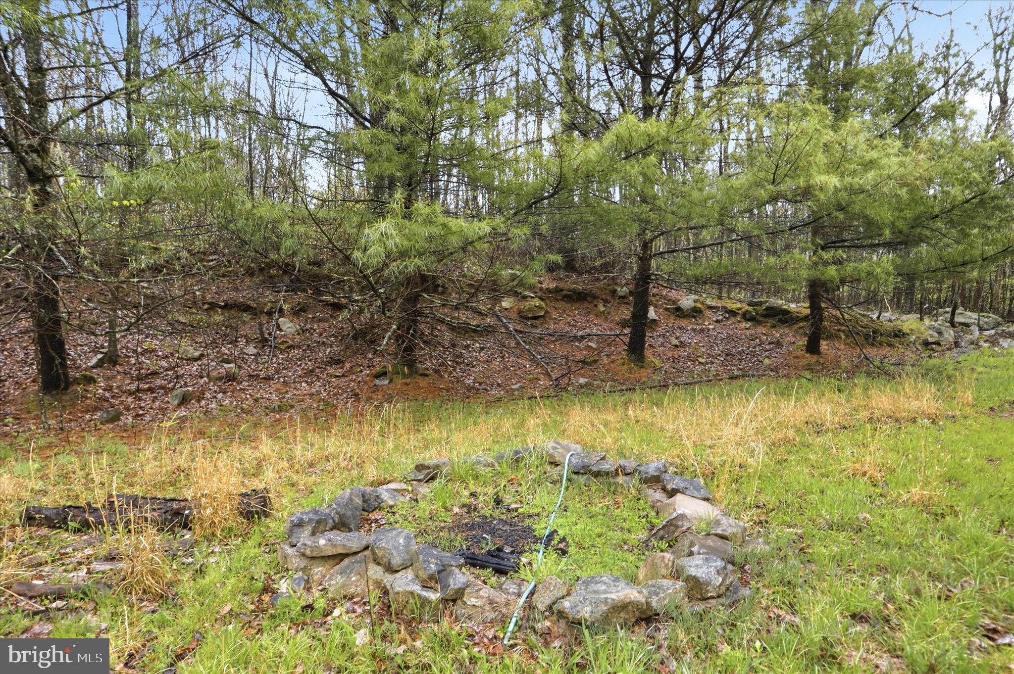 1995 Bethlehem Road Oakland, MD 21550 - Photo 16 of 17 Unrestricted land bordering State Forest