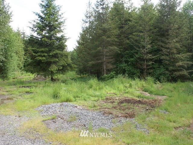 274 Atmore Road Toutle, WA 98649 - Photo 22 of 22