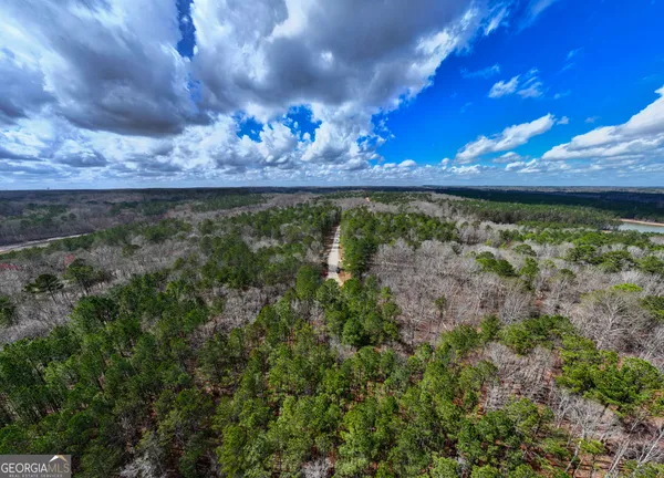 $146,900 | 3-acres Happy Hollow Road, Hampton, GA 30228