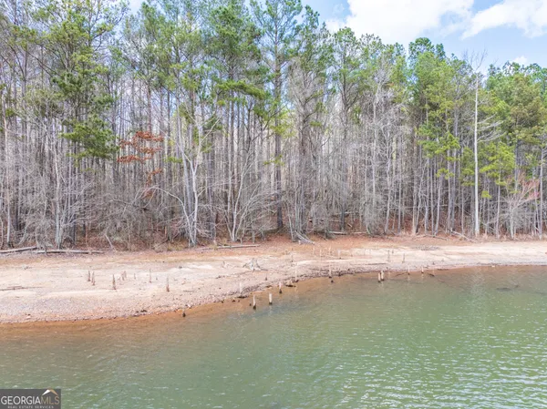 $146,900 | 3-acres Happy Hollow Road, Hampton, GA 30228