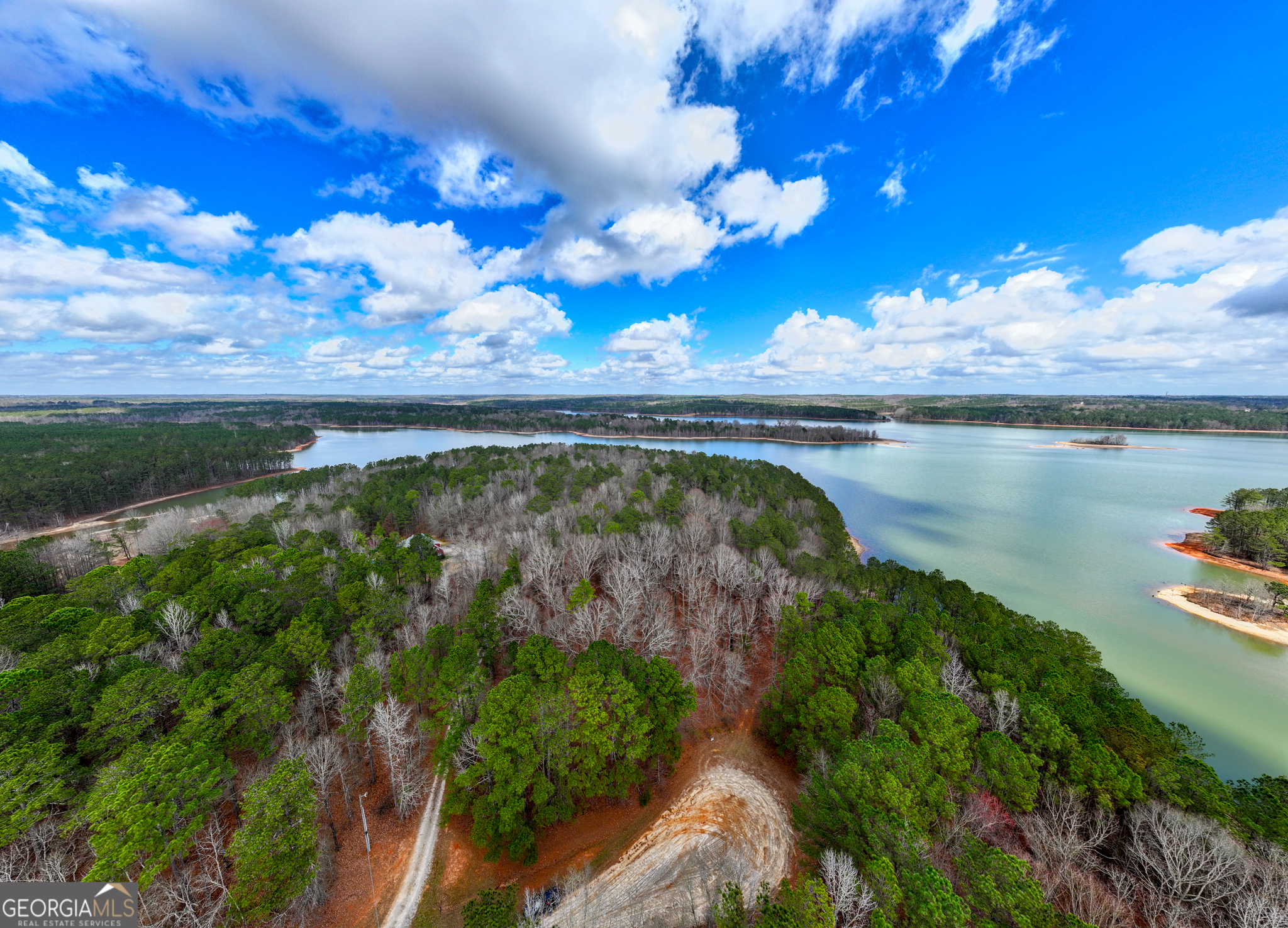 3-acres Happy Hollow Road Hampton, GA 30228 - Photo 14 of 37
