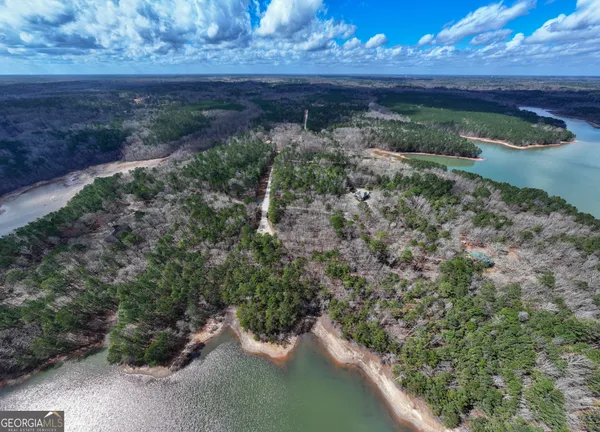 $146,900 | 3-acres Happy Hollow Road, Hampton, GA 30228