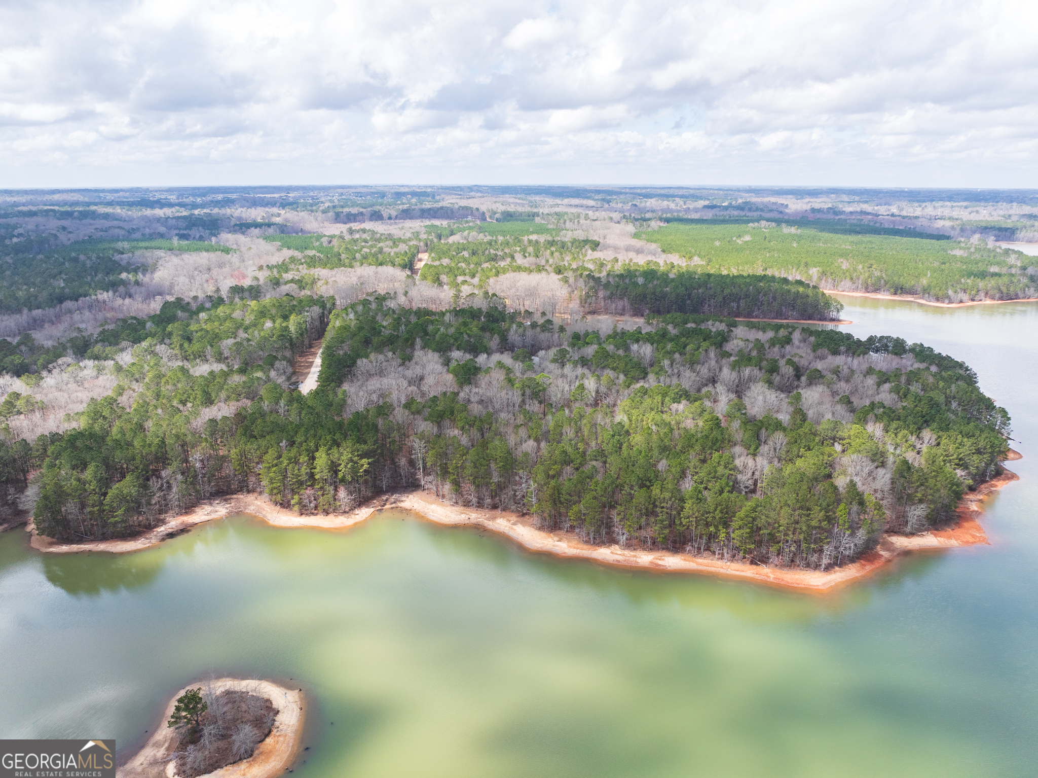 3-acres Happy Hollow Road Hampton, GA 30228 - Photo 18 of 37