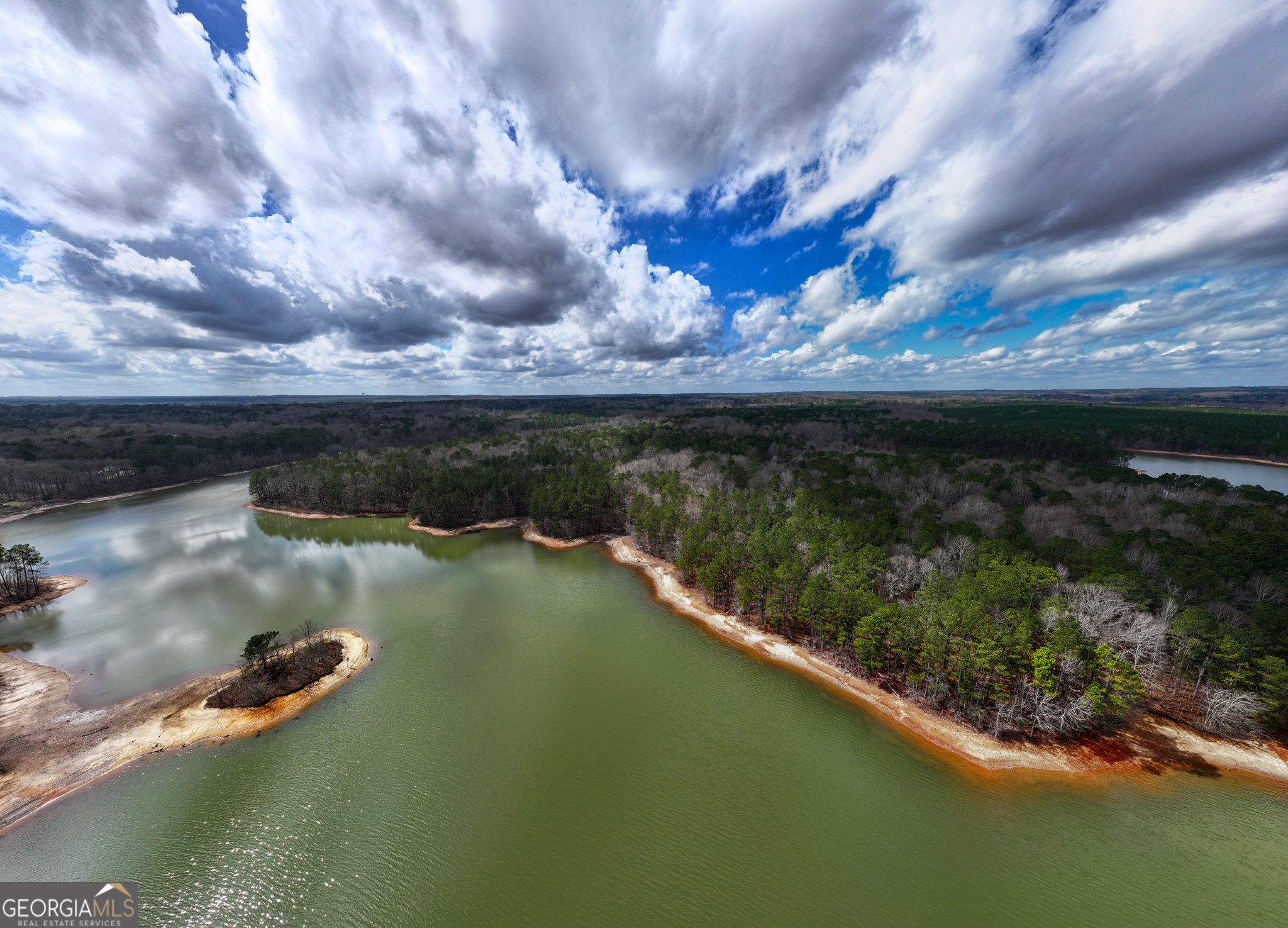 3-acres Happy Hollow Road Hampton, GA 30228 - Photo 19 of 37