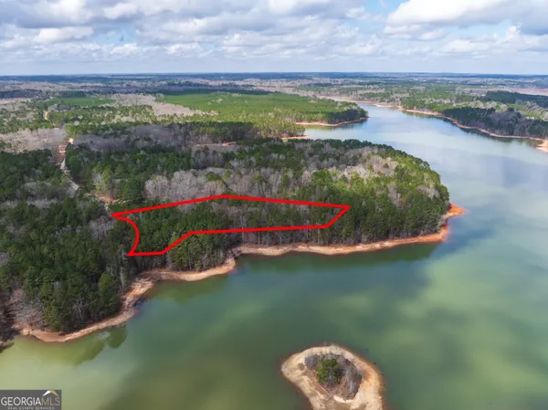 $146,900 | 3-acres Happy Hollow Road, Hampton, GA 30228