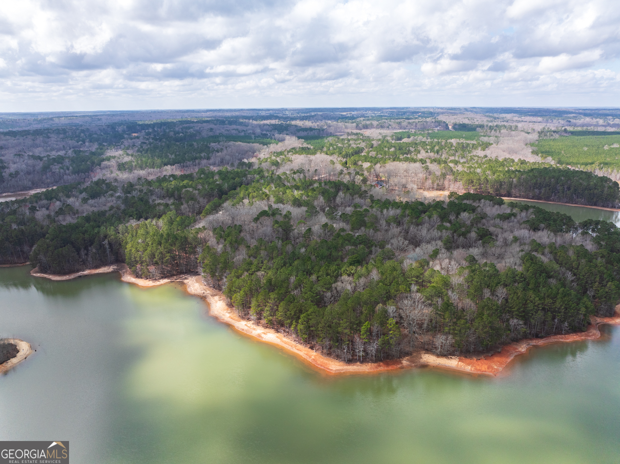 3-acres Happy Hollow Road Hampton, GA 30228 - Photo 22 of 37