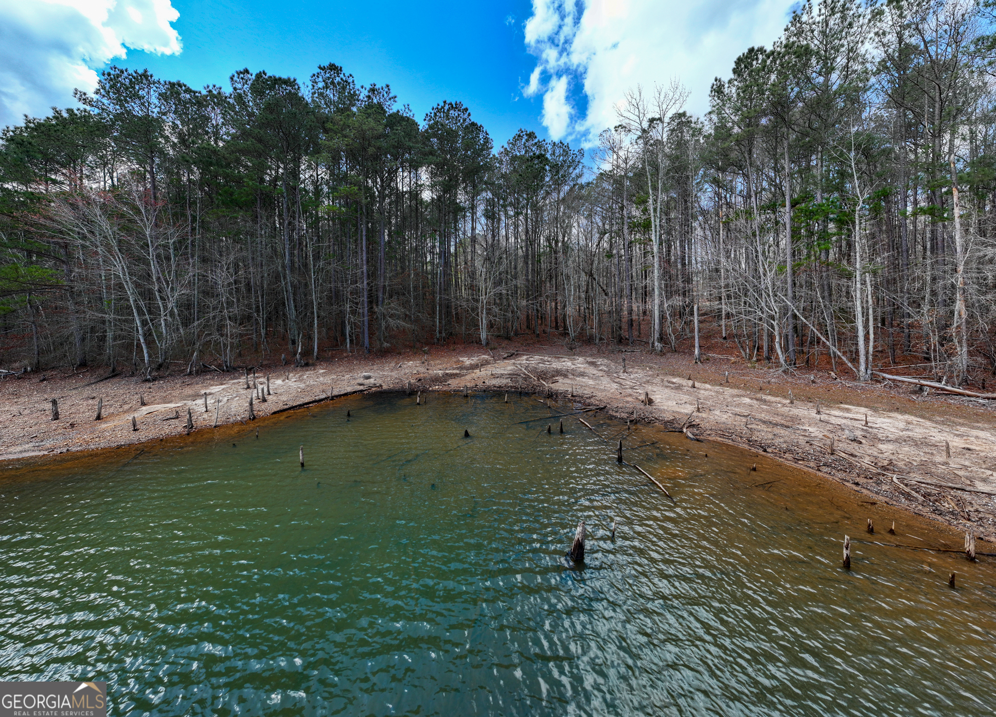 3-acres Happy Hollow Road Hampton, GA 30228 - Photo 24 of 37