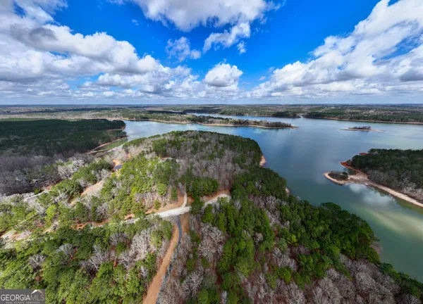 $146,900 | 3-acres Happy Hollow Road, Hampton, GA 30228