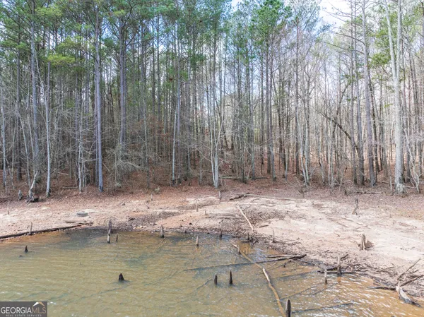 $146,900 | 3-acres Happy Hollow Road, Hampton, GA 30228