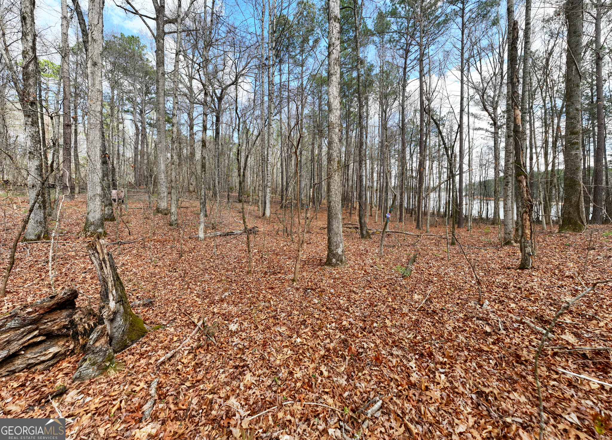 3-acres Happy Hollow Road Hampton, GA 30228 - Photo 32 of 37