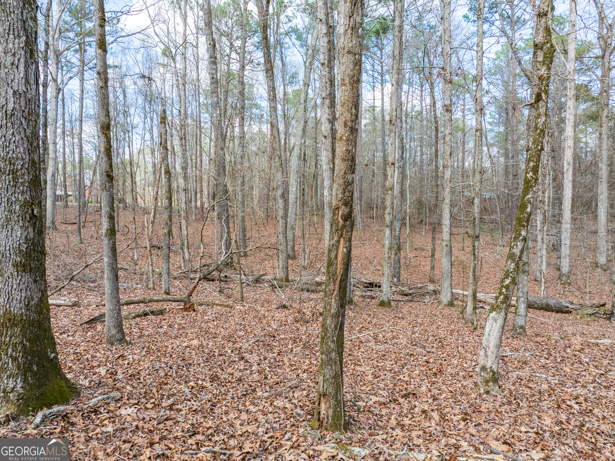 3-acres Happy Hollow Road Hampton, GA 30228 - Photo 33 of 37