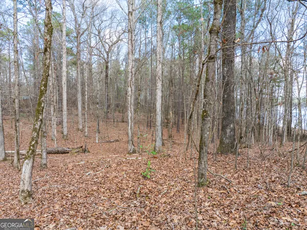 $146,900 | 3-acres Happy Hollow Road, Hampton, GA 30228